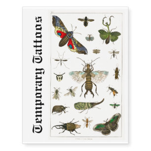 Insects Bugs BBF Bestie Temporary Tattoos