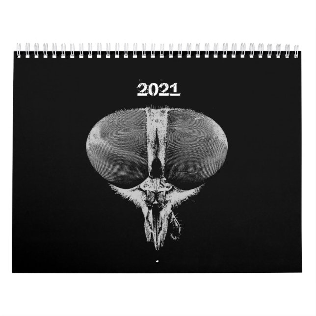 Insects - Bugs -  Pet Insects Calendar (Cover)