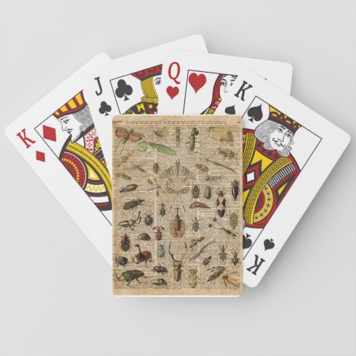 Insects Bugs Vintage Illustration Dictionary Art Poker Cards