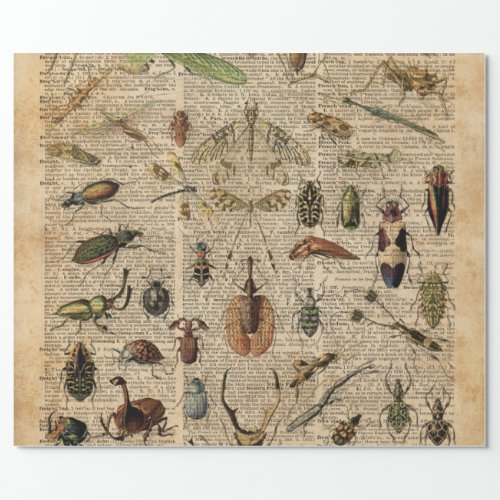 Insects Bugs Vintage Illustration Dictionary Art Wrapping Paper