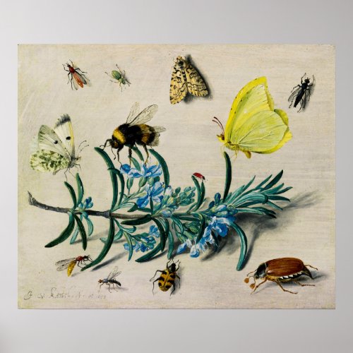 Insects by Jan van Kessel the Elder Poster