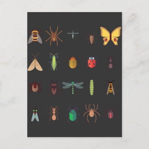 Insects Collection Drawing Cute Entomology Postcard