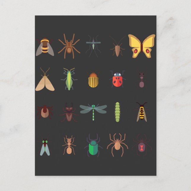 Insects Collection Drawing Cute Entomology Postcard (Front)