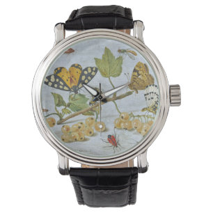 Insects Crawling Watch