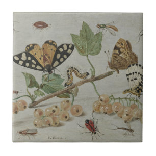 Insects & Fruits Ceramic Tile