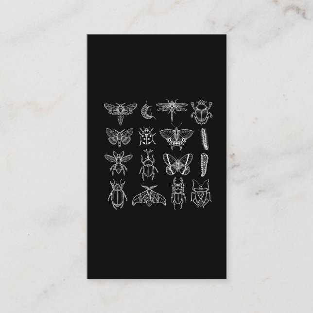 Insects Funny Entomologist Bug Catcher Entomology Business Card (Front)