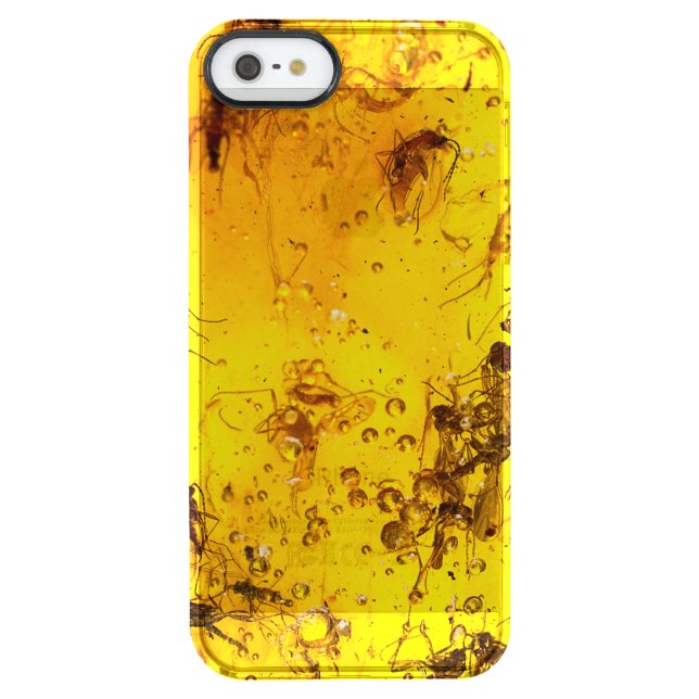Insects in amber uncommon iPhone case (Back)