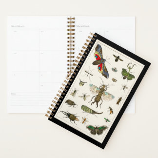 insects, insect, nature, butterfly, bugs, bee planner