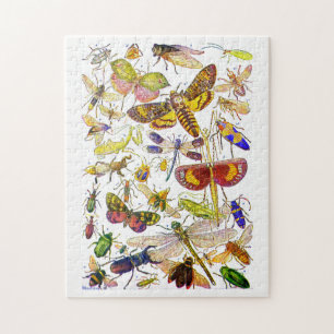 Insects Jigsaw Puzzle Creepy Crawlies
