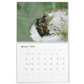 Insects Macros 2024 Kalender Calendar | Zazzle