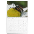 Insects Macros 2024 Kalender Calendar | Zazzle