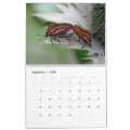 Insects Macros 2024 Kalender Calendar | Zazzle