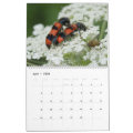 Insects Macros 2024 Kalender Calendar | Zazzle