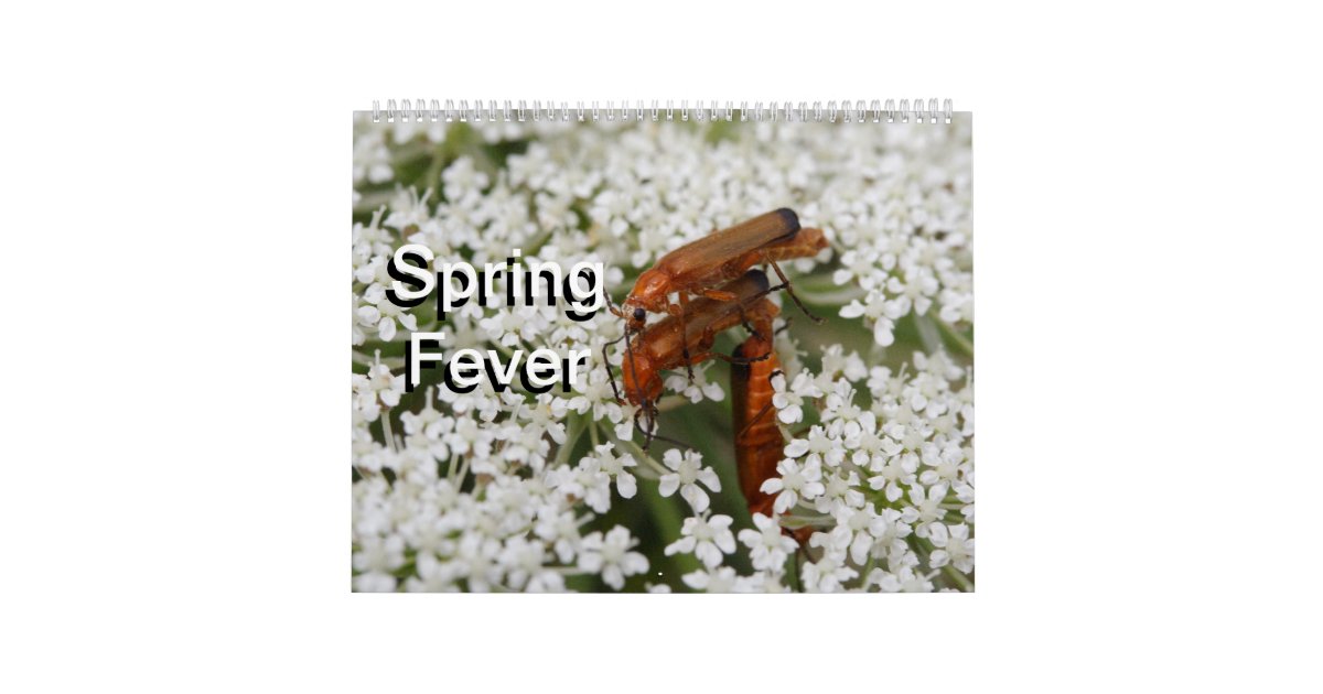 Insects Macros 2024 Kalender Calendar | Zazzle