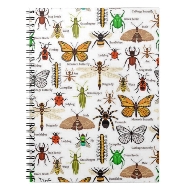 Insects Notebook (Front)