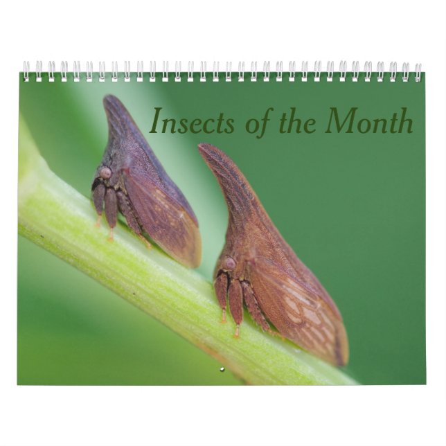 Insects of the Month Calendar (Cover)