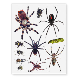 Insects Orb Spiders Beetles Black Widow Tarantula Temporary Tattoos