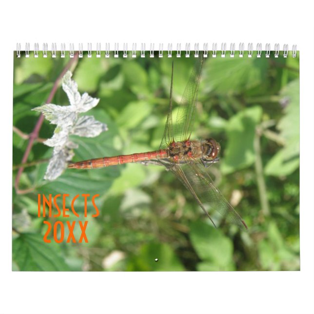 Insects Personalized Calendar (Cover)