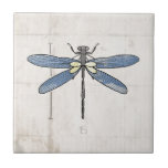 Insects Series- Dragonfly By Vol25 Tile at Zazzle