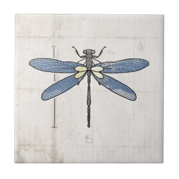 Insects Series- Dragonfly By Vol25 Tile by volume25 at Zazzle
