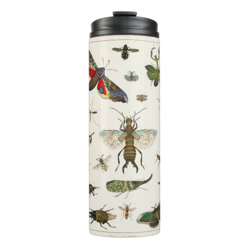 Insects Thermal Tumbler