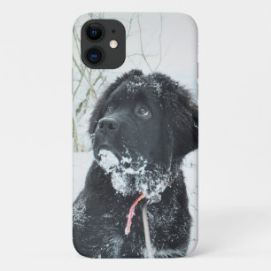 Insert Your Own Photo of Your Newfie Newfoundland iPhone 11 Case