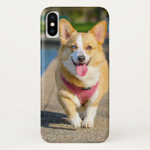 Insert Your Own Photo of Your Pembroke Welsh Corgi iPhone X Case