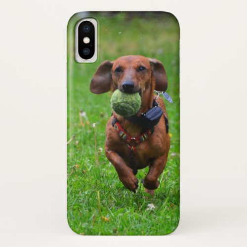 Insert Your Own Photo of Your Smooth Dachshund iPhone X Case