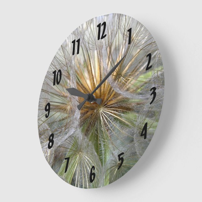 Inside A Dandelion Clock Close-Up Photograph (Angle)