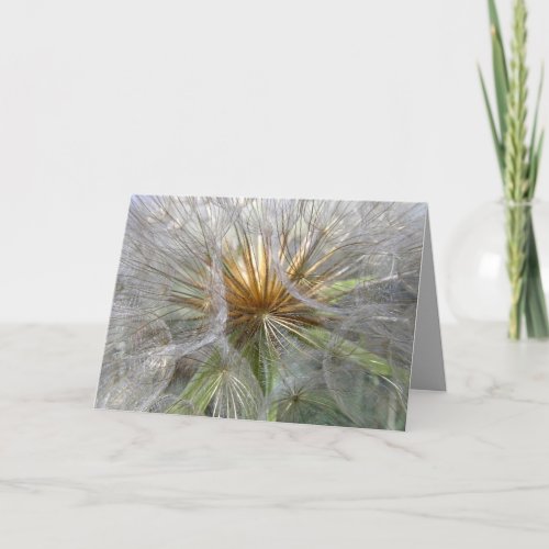 Inside A Dandelion Clock Photograph Blank Inside Thank You Card