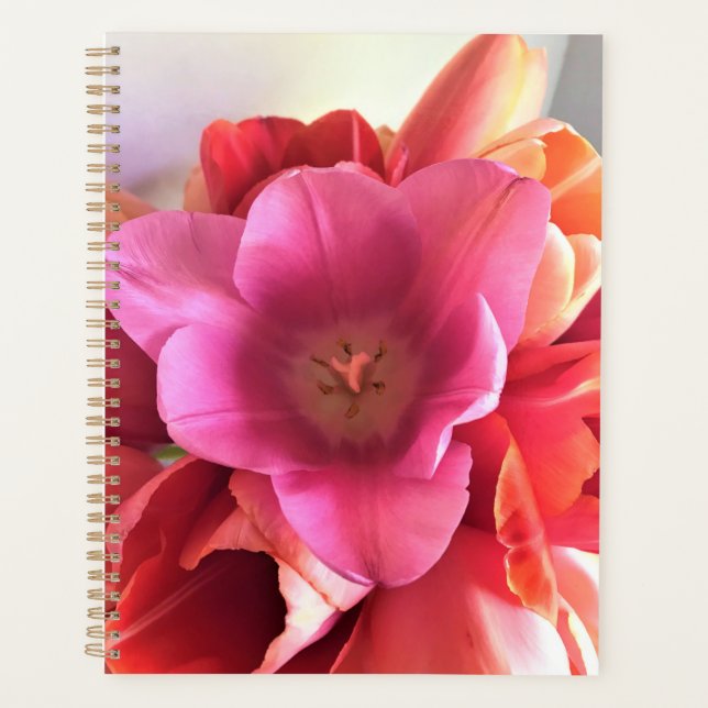 Inside a Pink Tulip Planner (Front)