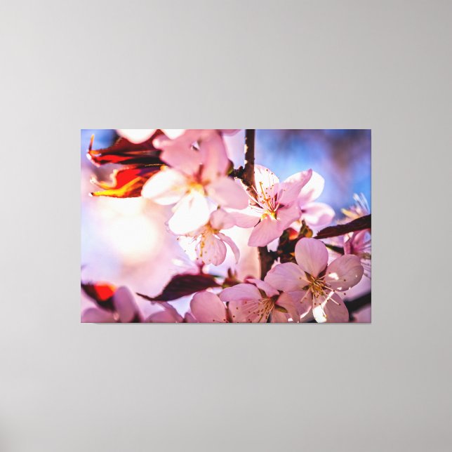 Inside A Sakura Tree Canvas Print (Front)