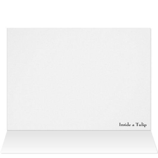 Inside a Tulip (Inside Horizontal (Top))