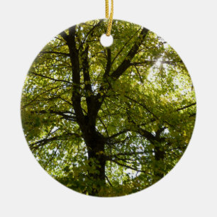 Inside a Yellow Maple Tree Autumn Ceramic Ornament