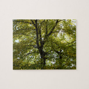 Inside a Yellow Maple Tree Autumn Jigsaw Puzzle