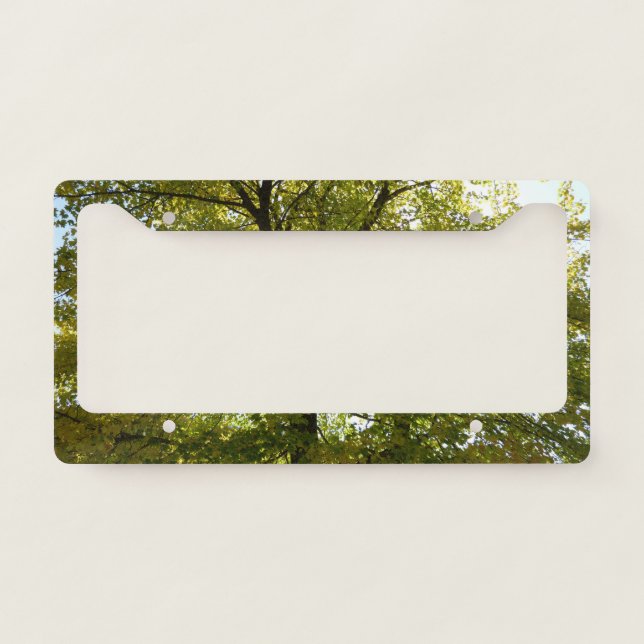 Inside a Yellow Maple Tree Autumn License Plate Frame (Front)