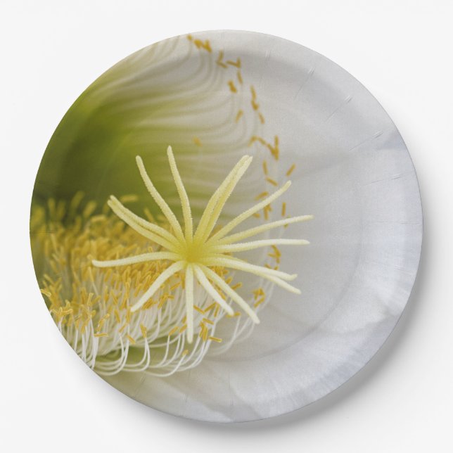 Inside of a White cactus in bloom Paper Plates (Front)