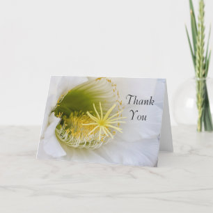 Inside of a white cactus in bloom thank you card