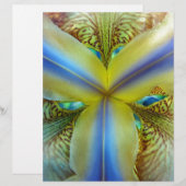 Inside of Iris (Front/Back)