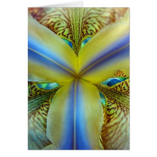 Inside of Iris (Front)