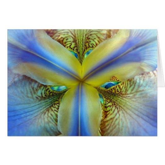 Inside of Iris (Front Horizontal)