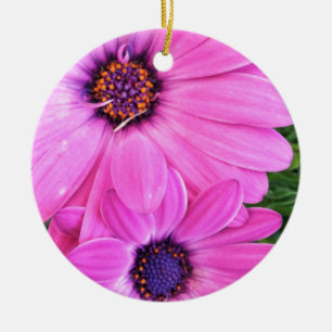 Inside of Pink Purple Gerbera Daisy Flower Nature Ceramic Ornament