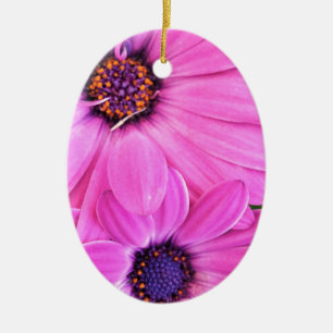 Inside of Pink Purple Gerbera Daisy Flower Nature Ceramic Ornament