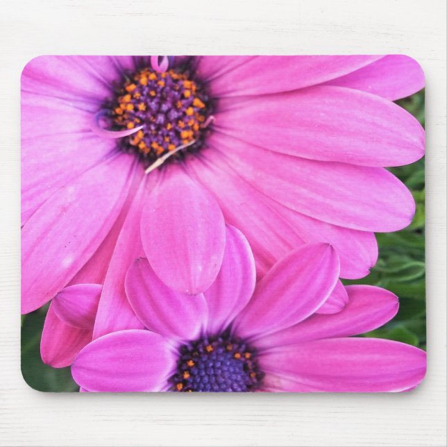 Inside of Pink Purple Gerbera Daisy Flower Nature Mouse Pad (Front)
