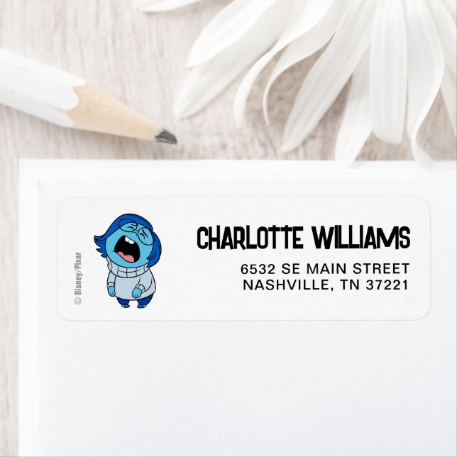 Inside Out 2 Birthday | Sadness Label (Insitu)