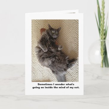 Inside the mind of cats card