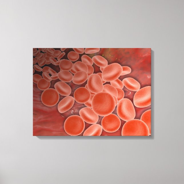 Inside View Of The Artery With Red Blood Cells Canvas Print (Front)
