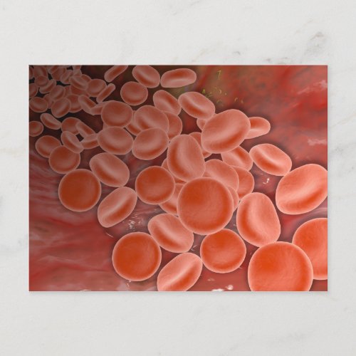 Inside View Of The Artery With Red Blood Cells Postcard