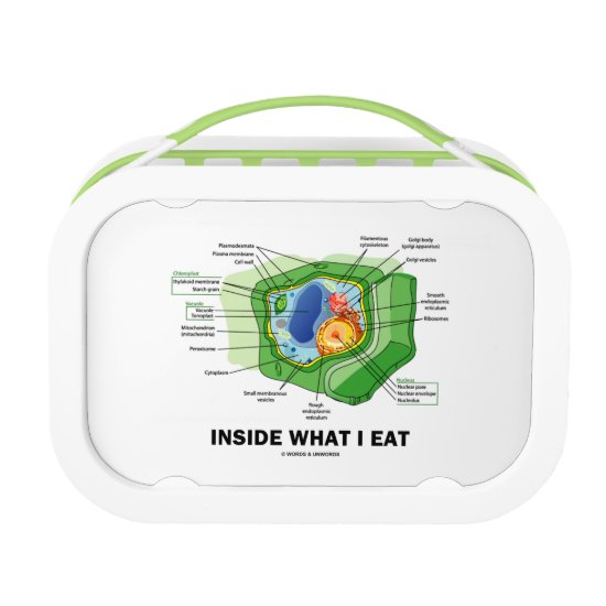 Inside What I Eat (Plant Cell Biology Vegetarian) Lunch Box