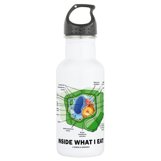 Inside What I Eat (Plant Cell Biology Vegetarian) Water Bottle